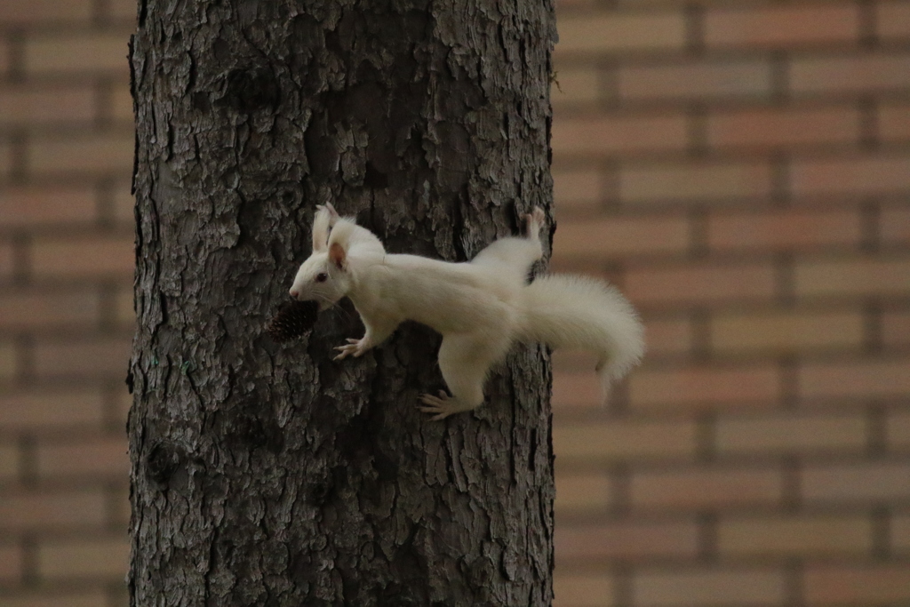 ただ雪降ると絶対わからない！(笑)