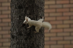 ただ雪降ると絶対わからない！(笑)
