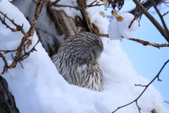 あれ～ ヒモは～(笑)