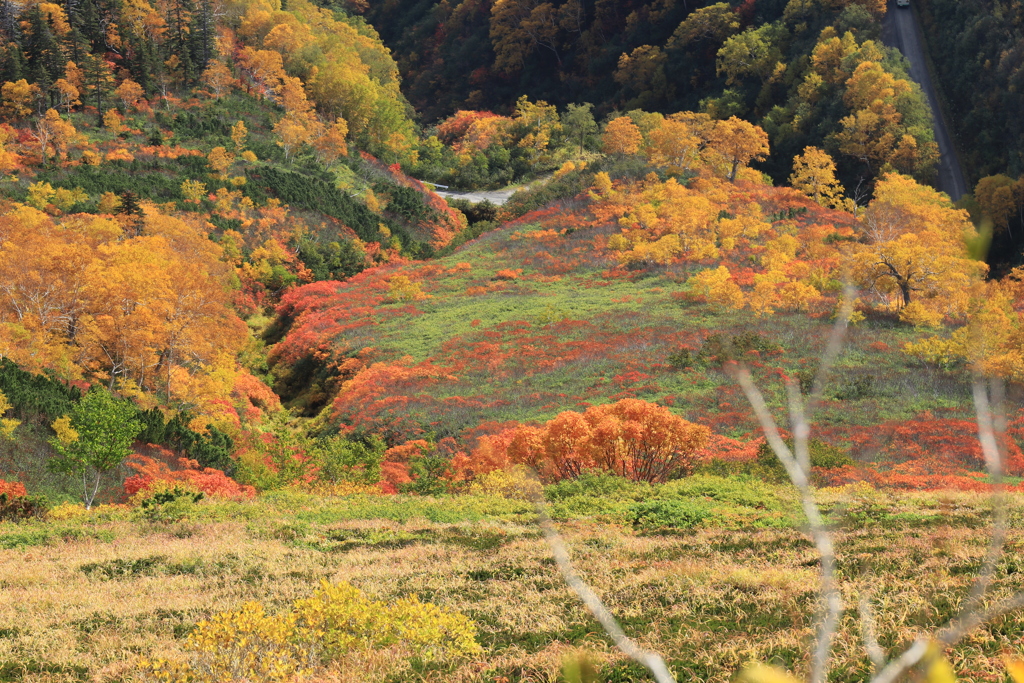 一年ぶりの山登り キツい！