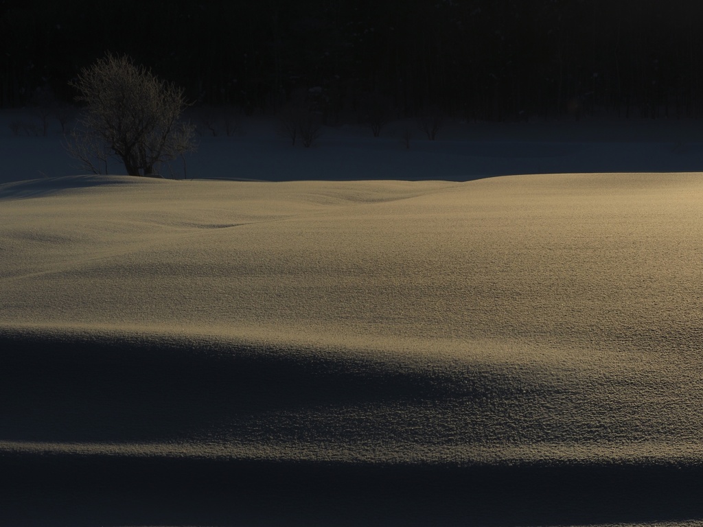 パウダースノー