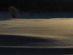 パウダースノー