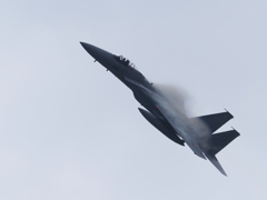 千歳航空際2022 F-15