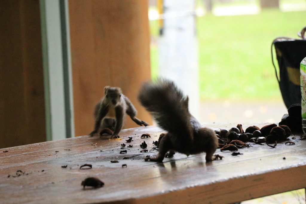 ザ・鉢合わせ！