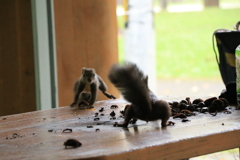 ザ・鉢合わせ！