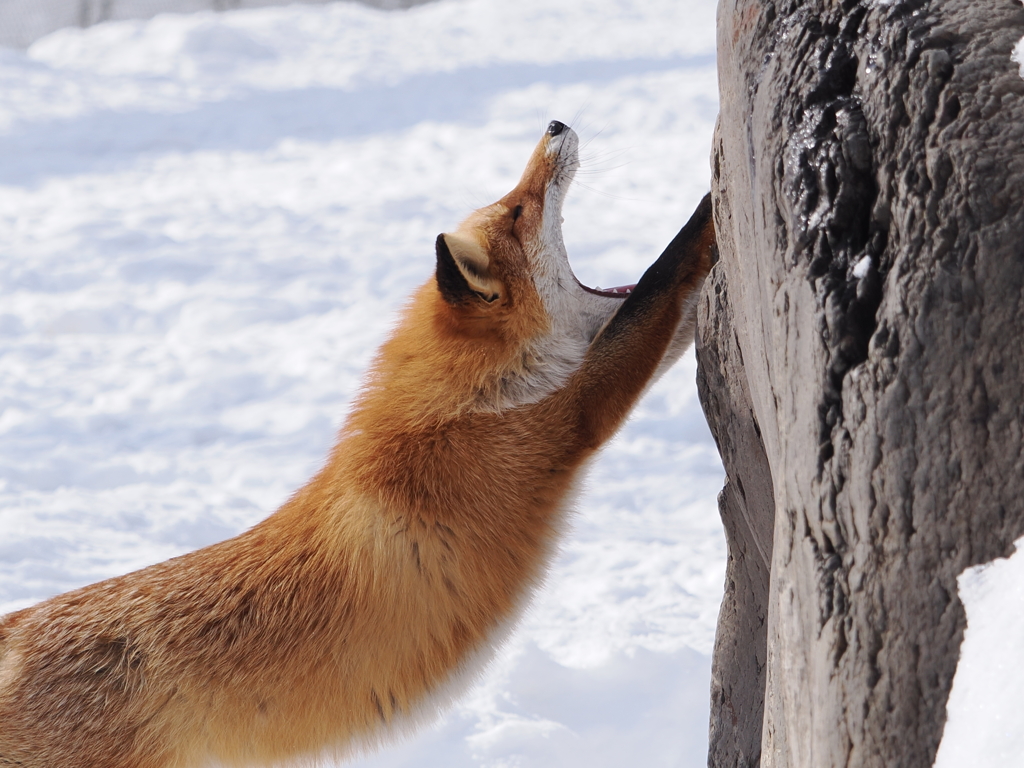 昼から何すっかな～