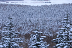 またこの季節がやって来た！