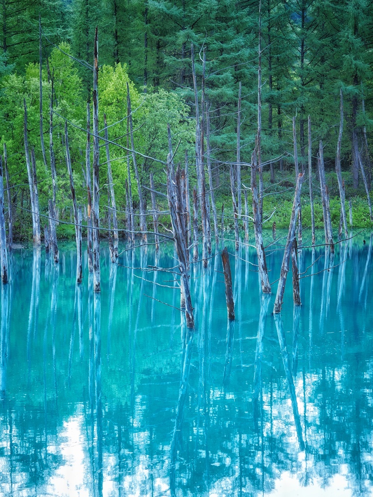 青い池