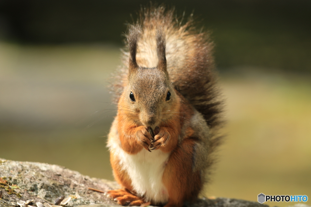今年のニューフェイス！