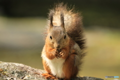 今年のニューフェイス！