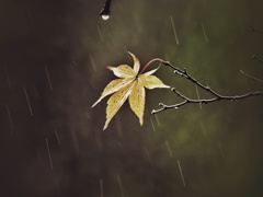 福原三荘