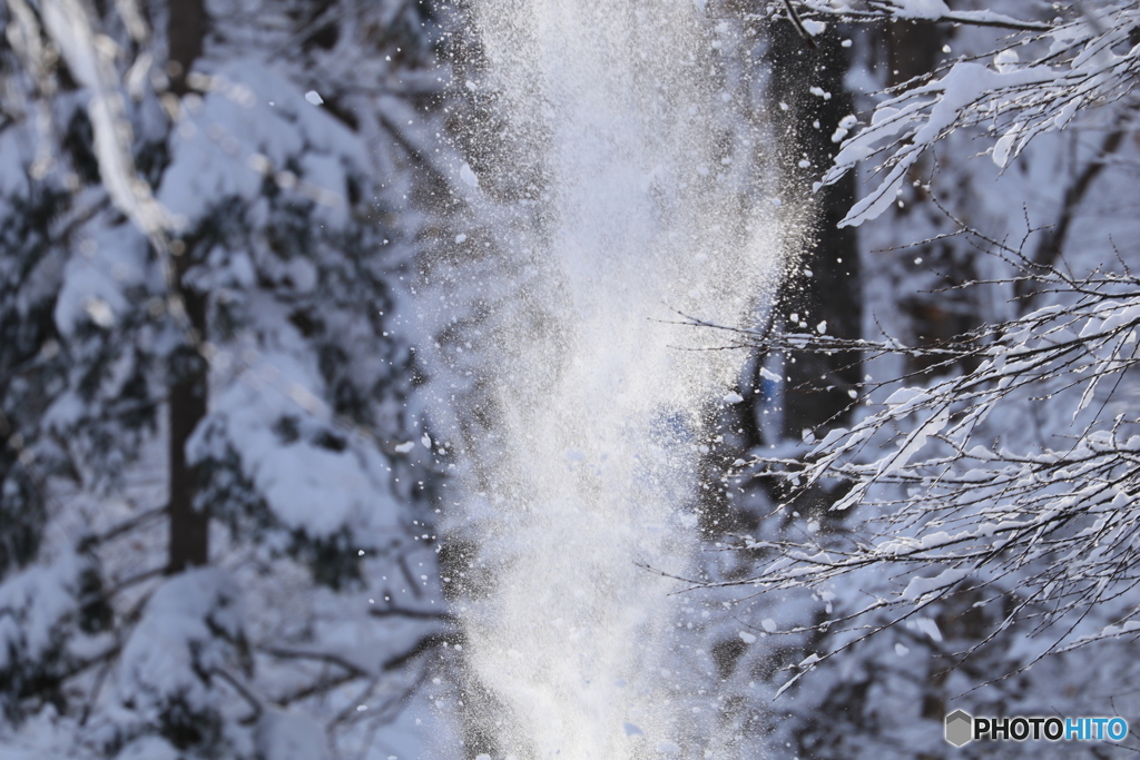 粉雪舞い落ちる