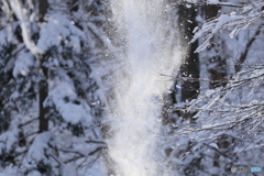 粉雪舞い落ちる