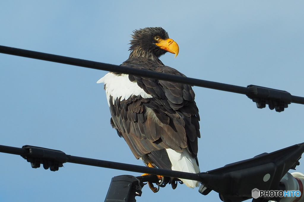 口元が～ 食らって来たあとが…