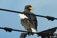 口元が～ 食らって来たあとが…