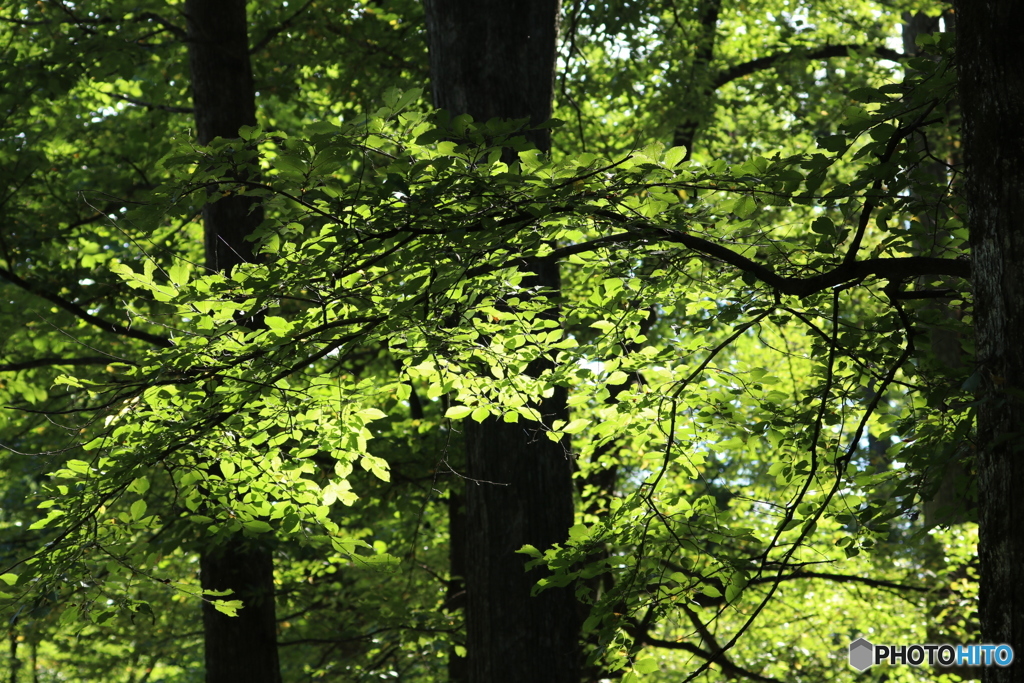 20160828234336_IMG_6952