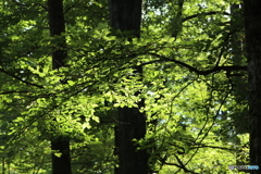 20160828234336_IMG_6952