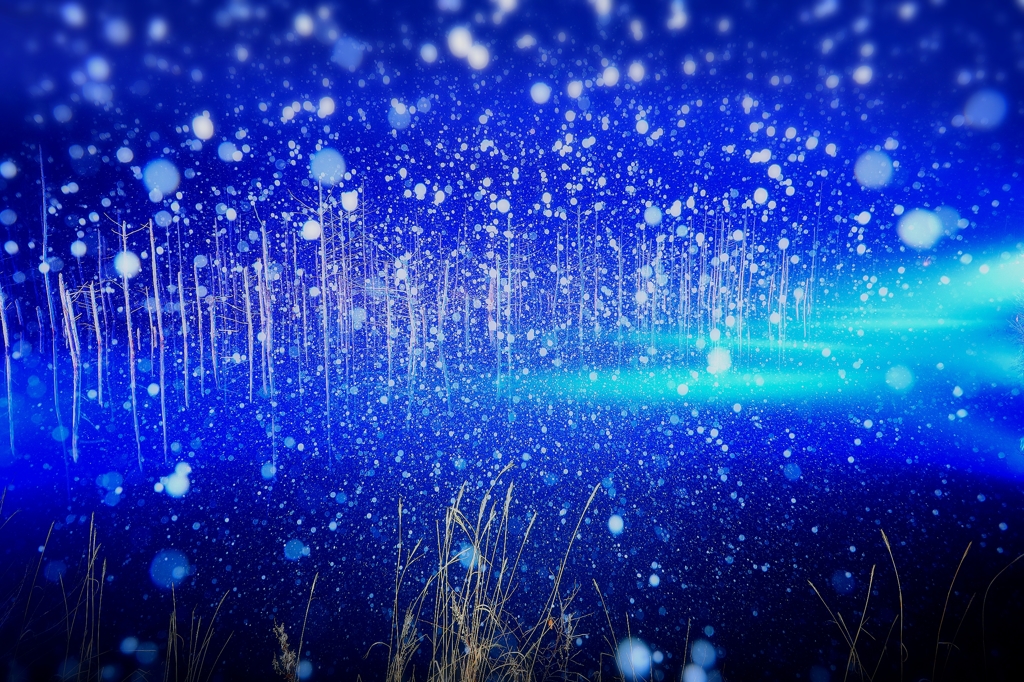 青池