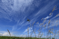 北海道は、秋ですね！