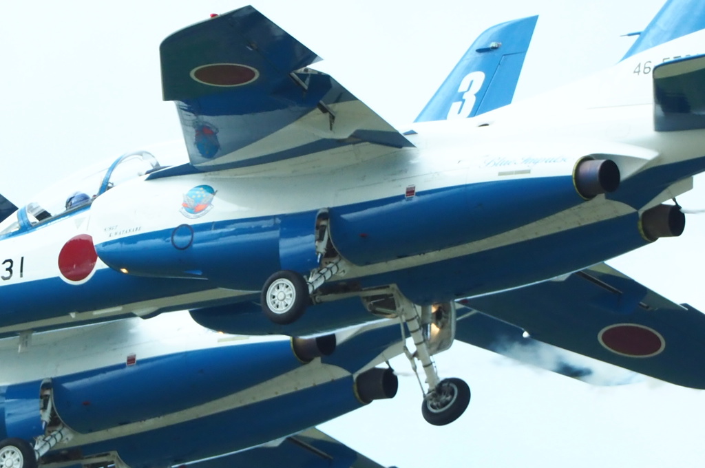 単焦点で追うの直難！