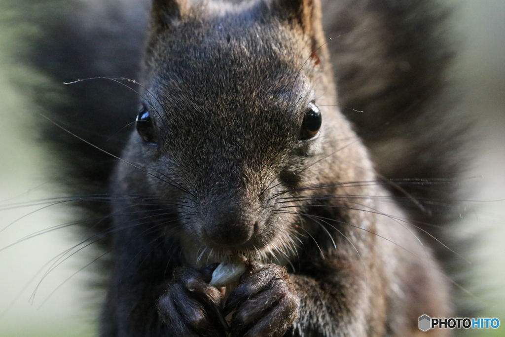 見つめ会う二人