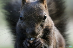 見つめ会う二人