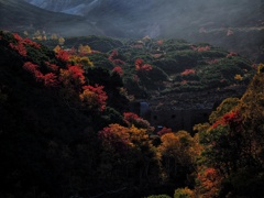 十勝岳