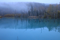 青池