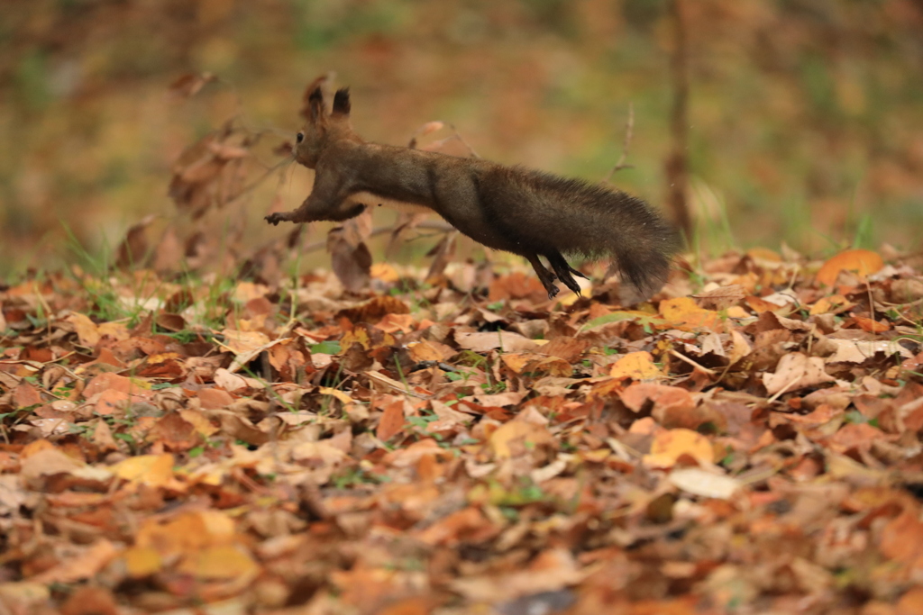 今のうちに退散！