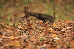 今のうちに退散！