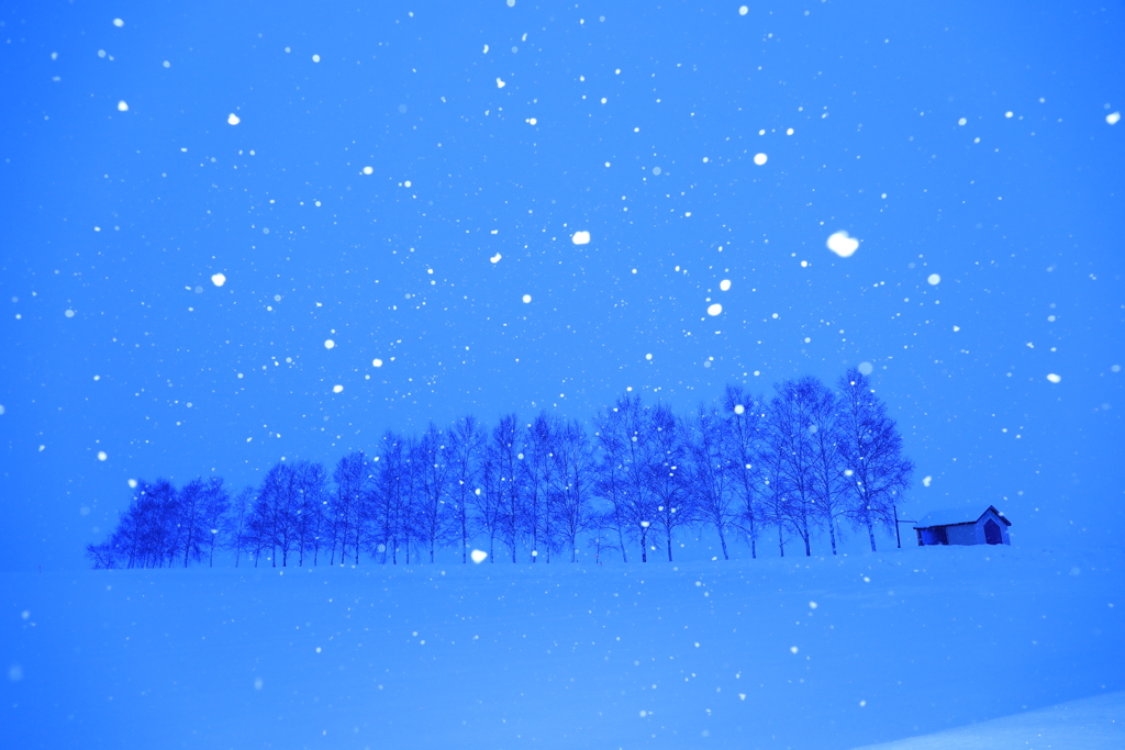 セブン並木ん玉