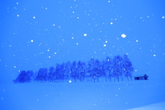 セブン並木ん玉