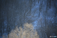 ダストは ショボい感じで！