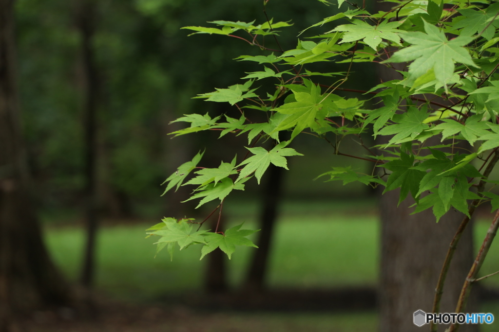 20160907233418_IMG_7016