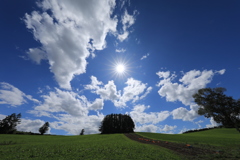 もうひとつのマイルドセブン