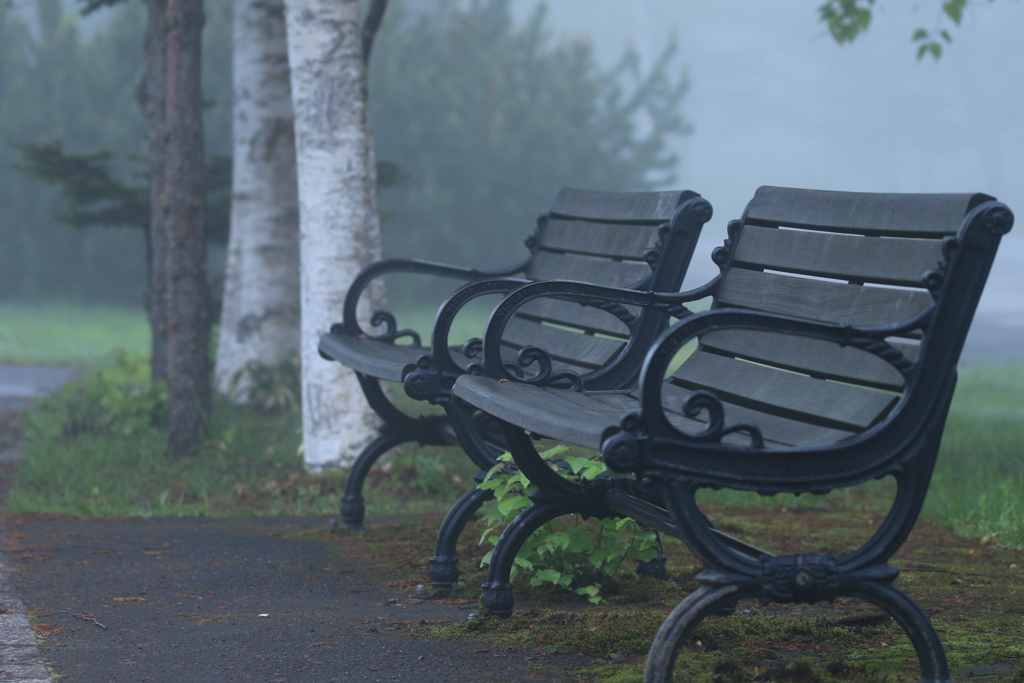 早朝まで休むベンチ