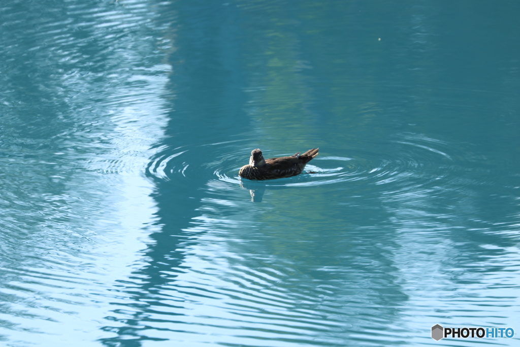 20160811223905_IMG_5475