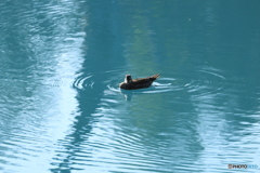 20160811223905_IMG_5475