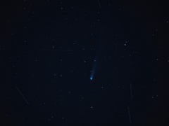 レモン彗星 レモン彗星