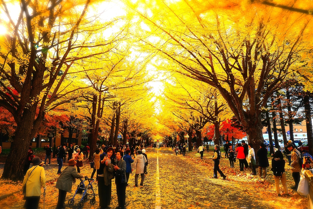 北大 並木