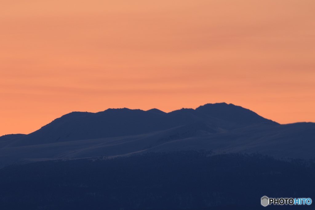 コントラストが綺麗。