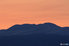 コントラストが綺麗。