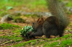 デカいの食らってます。(笑)