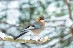 途中こんなん撮りながら。