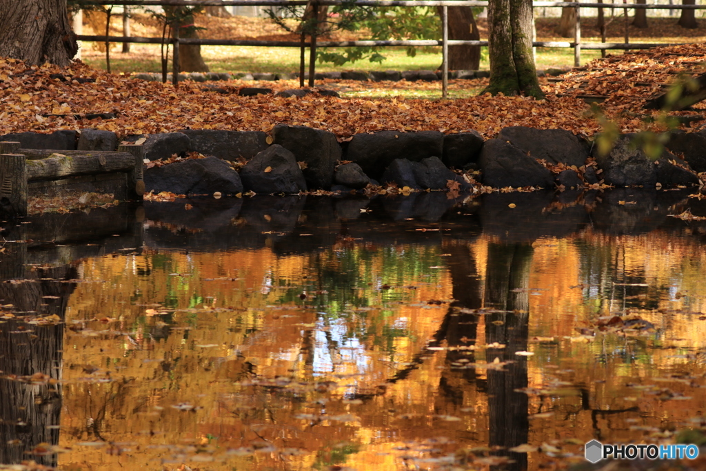 20161018035651_IMG_8430