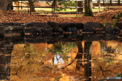 20161018035651_IMG_8430