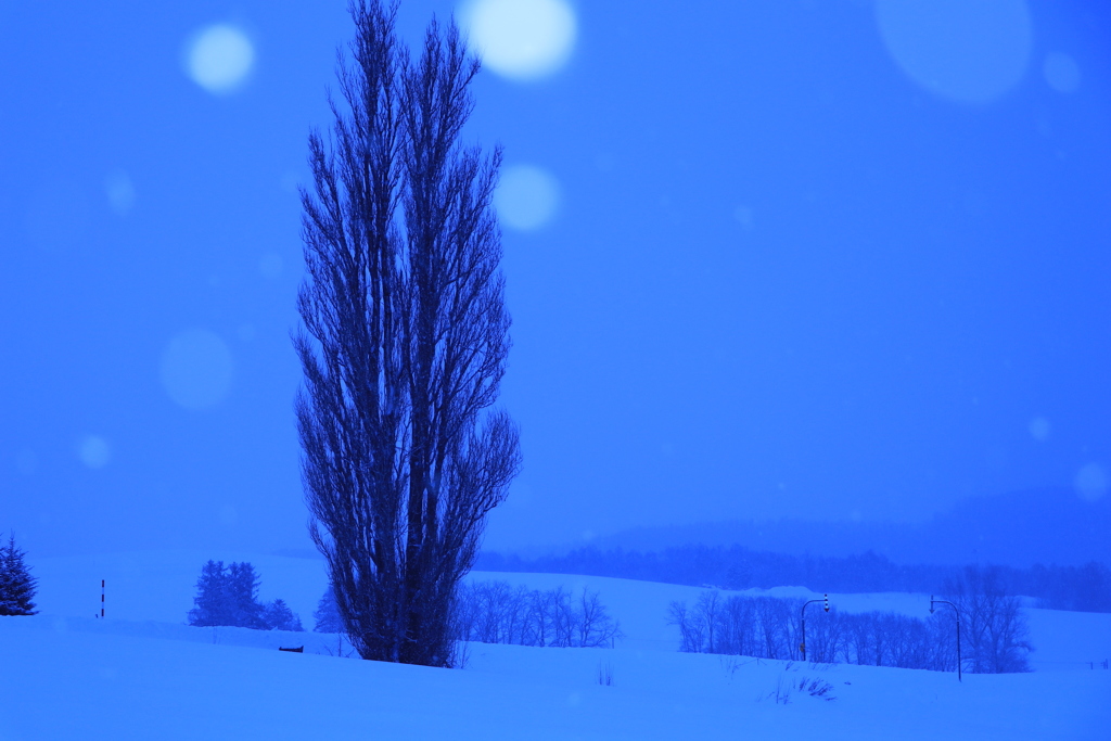 久しぶりにケンメリも