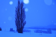 久しぶりにケンメリも