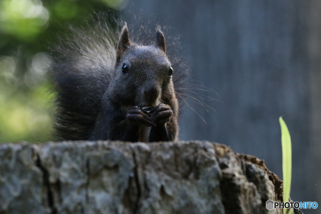 20160917235233_IMG_7173