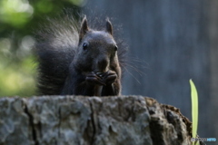 20160917235233_IMG_7173